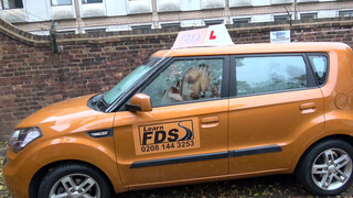 Fake Driving School - Cindy Shine inkább szexel a vezetés helyett